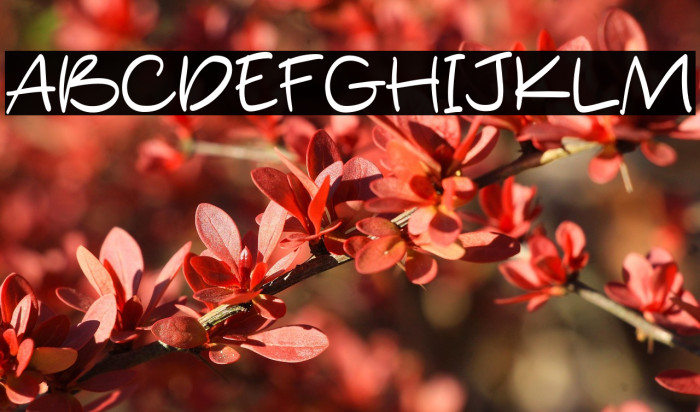 Silent Handwritting Example 1