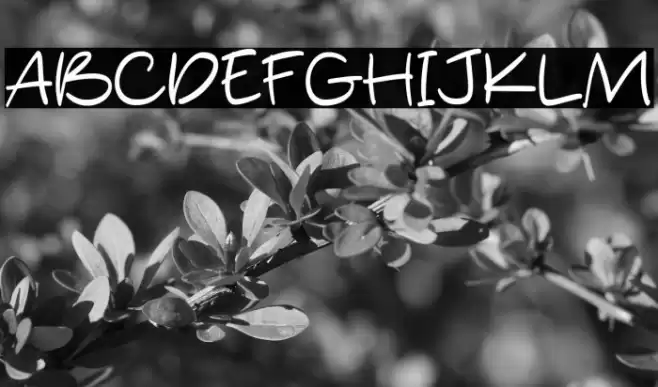 Silent Handwritting Font examples