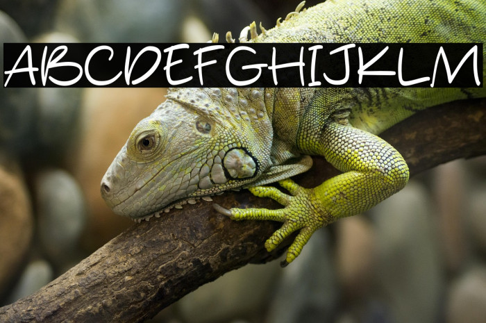 Silent Handwritting Example 3