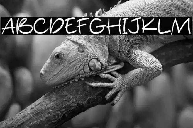 Silent Handwritting Font examples