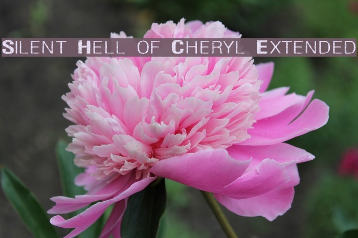Silent Hell of Cheryl Extended Font examples