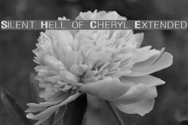 Silent Hell of Cheryl Extended Polices examples