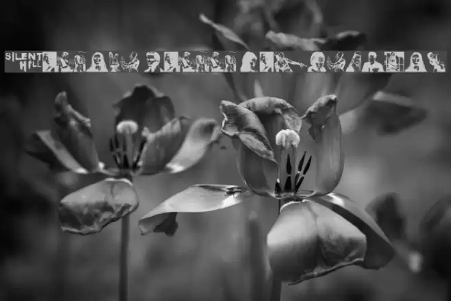 Silent Hill Nightmares Font examples