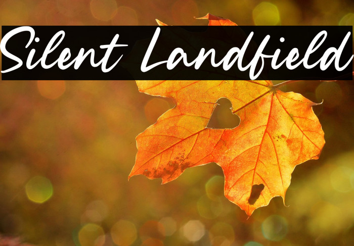 Silent Landfield Example 1