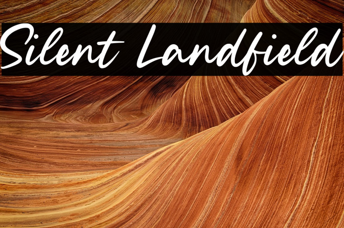 Silent Landfield Example 3