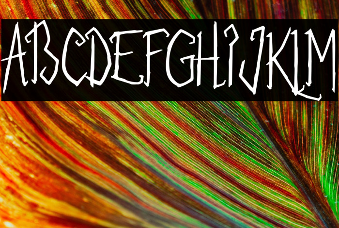 Silent Night Demo Example 3