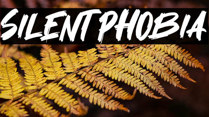 Silent Phobia Example 3