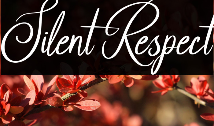 Silent Respect फ़ॉन्ट examples