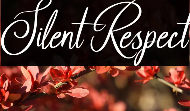 Silent Respect Example 2