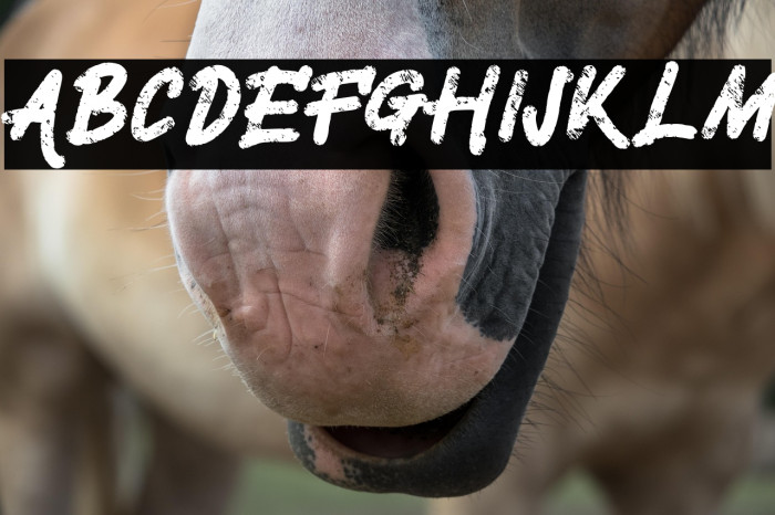 SilentFREE Example 3