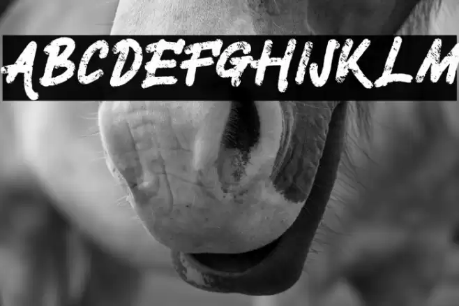 SilentFREE Font examples