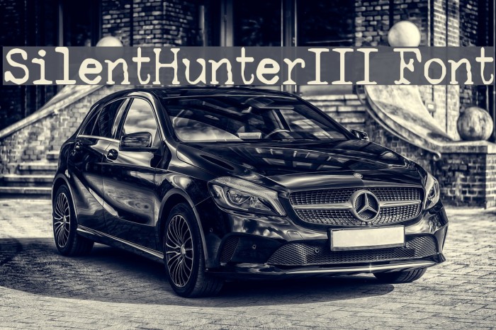 SilentHunterIII Font Example 3