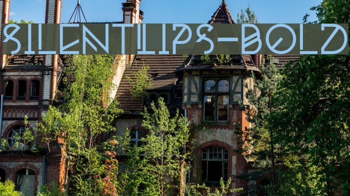 Silent_Lips-Bold Font examples