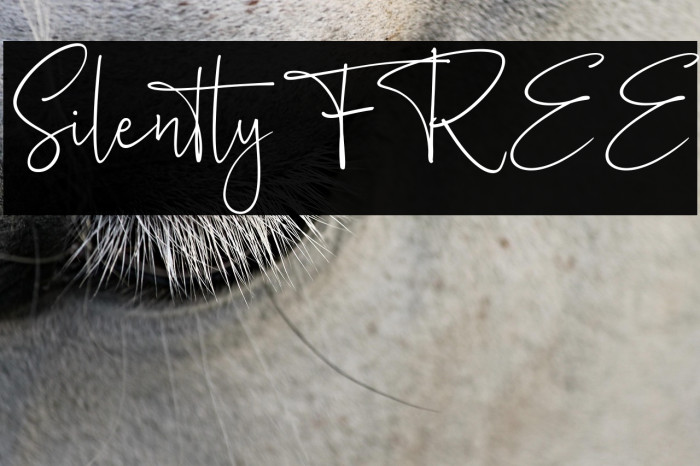 Silently FREE Example 2