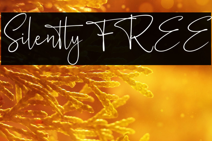 Silently FREE Example 3