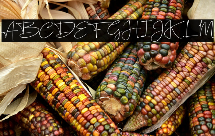 SilentlyFREE Example 1