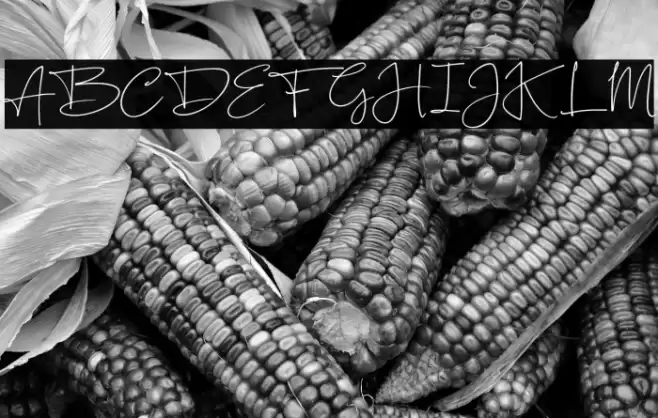 SilentlyFREE Font examples