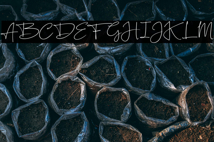 SilentlyFREE Example 2