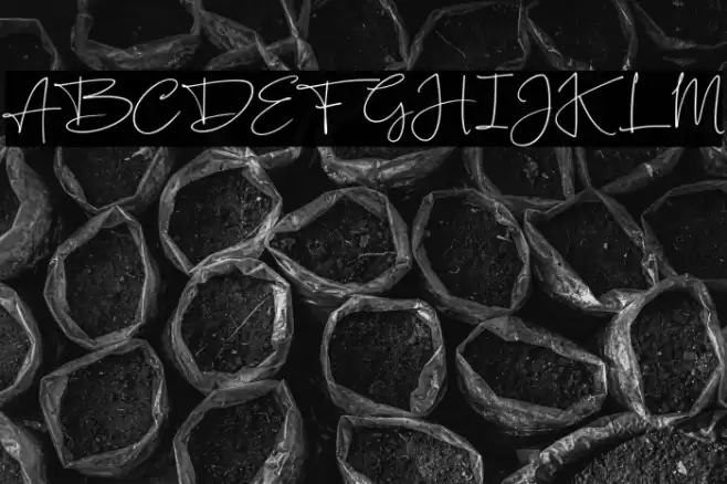 SilentlyFREE Font examples