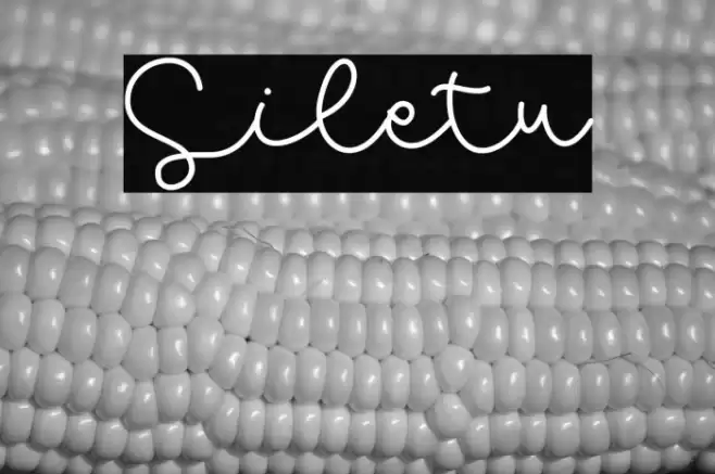 Siletu Font examples