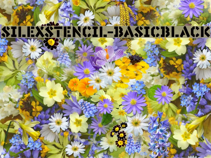SilexStencil-BasicBlack Font examples