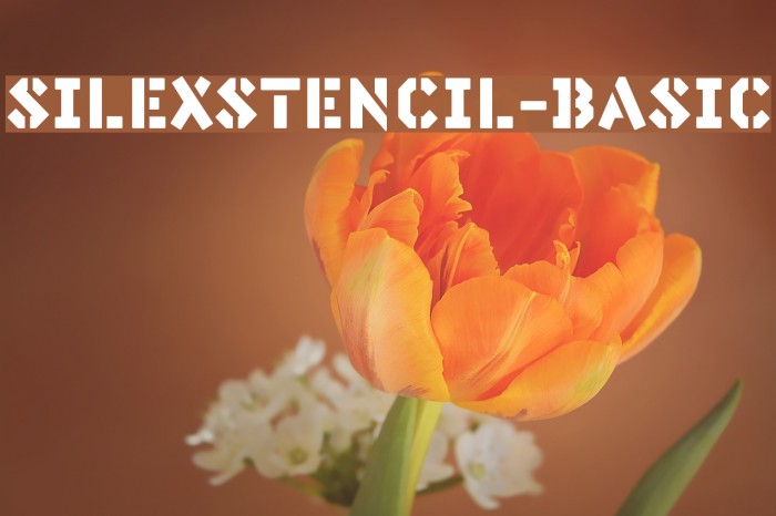 SilexStencil-Basic Schriftart examples
