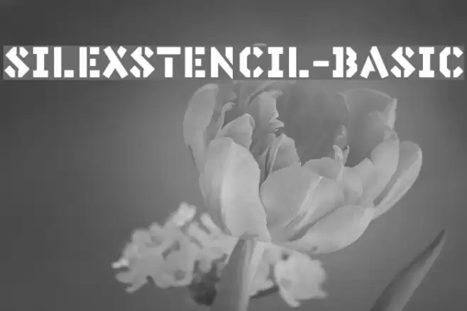 SilexStencil-Basic Font examples