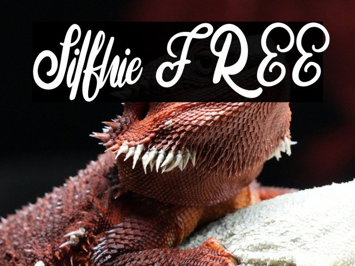 Silfhie FREE Example 1