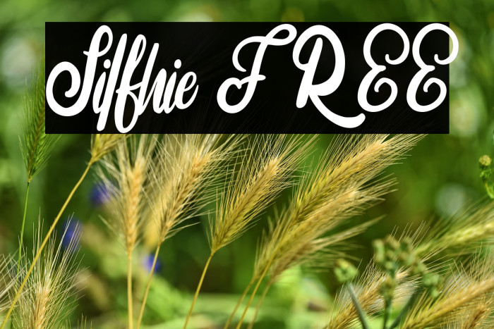 Silfhie FREE Example 2