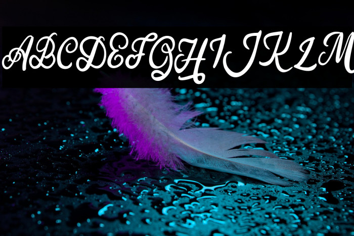 SilfhieFREE Example 1