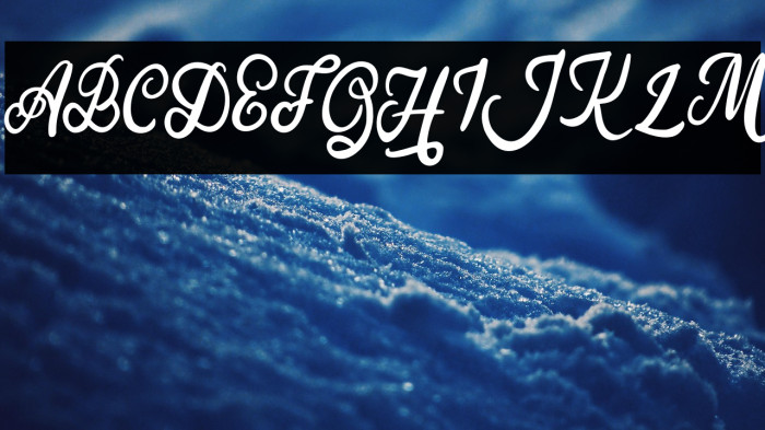 SilfhieFREE Example 2