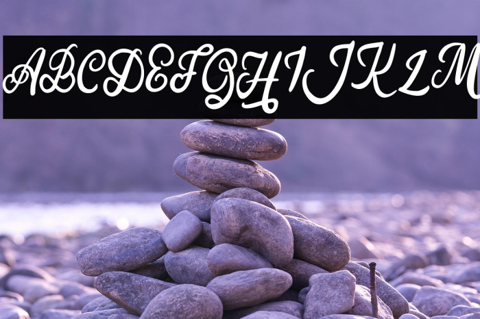 SilfhieFREE Example 3