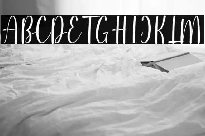 Silfia Font examples