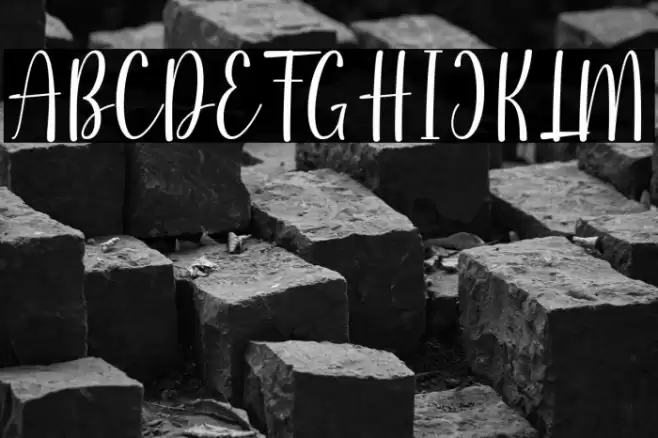 Silfia Font examples