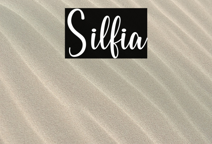 Silfia Example 1