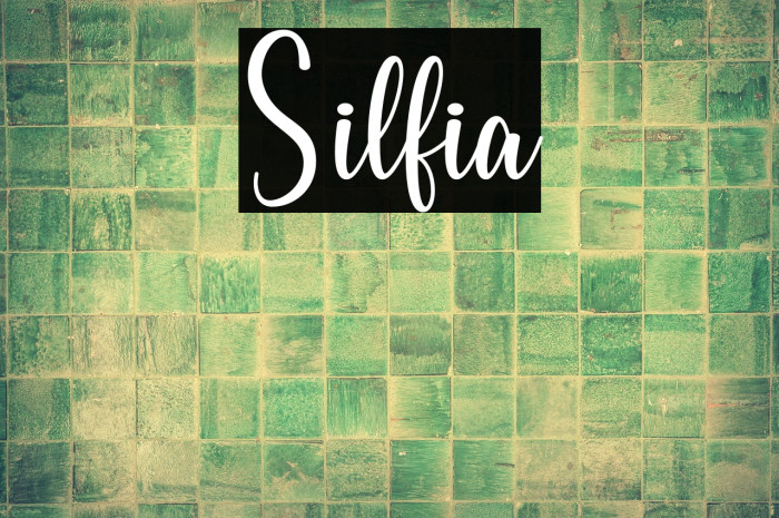 Silfia Example 3