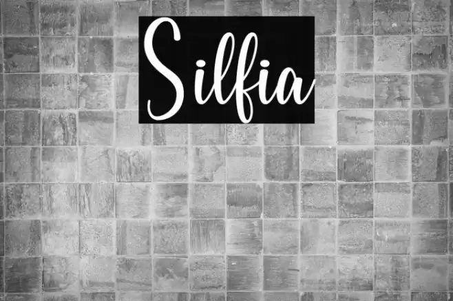 Silfia Font examples