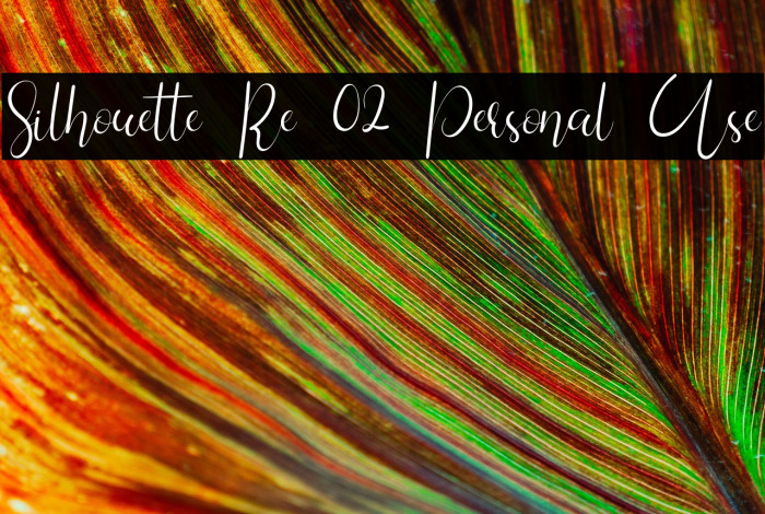 Silhouette Re 02 Personal Use Example 1