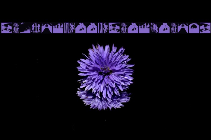 SilhouetteSituations Example 2