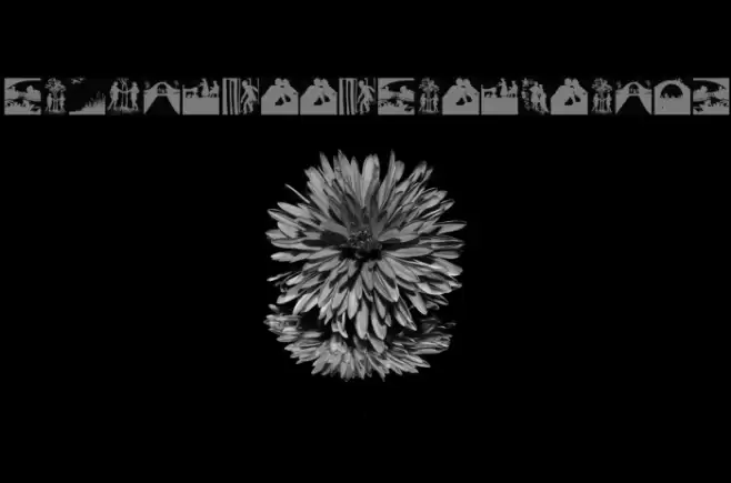 SilhouetteSituations Font examples