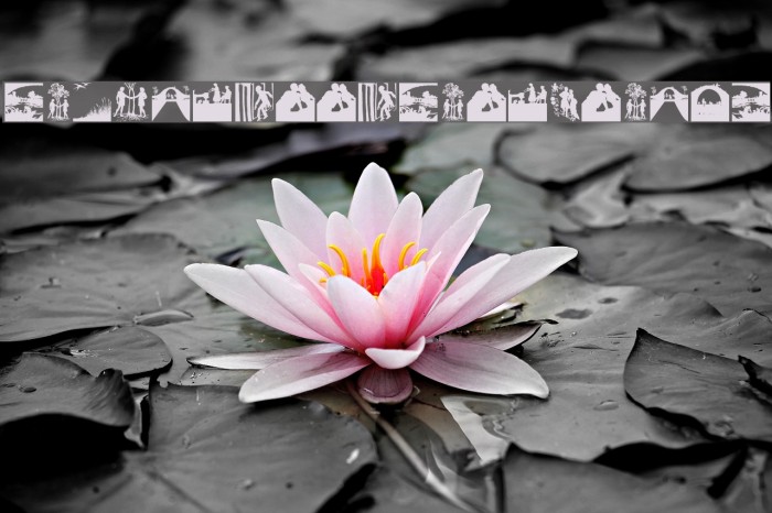 SilhouetteSituations Example 3