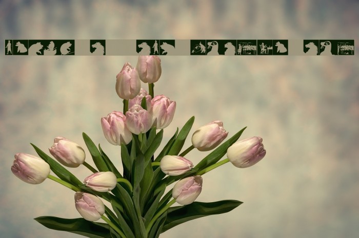 SilhouetteSquaresInvers Font examples