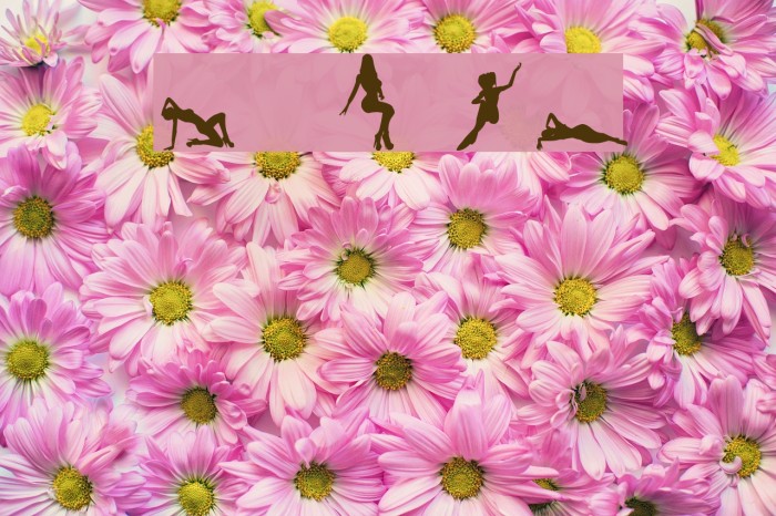 Silhouettes from Poser LT Font examples