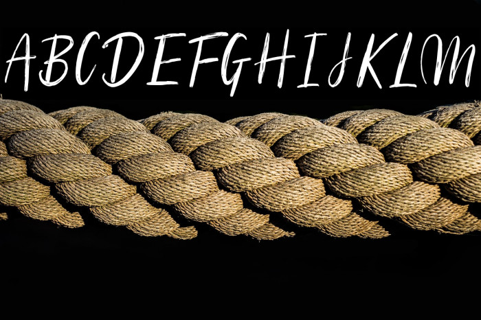 Silhouetto Script Example 1