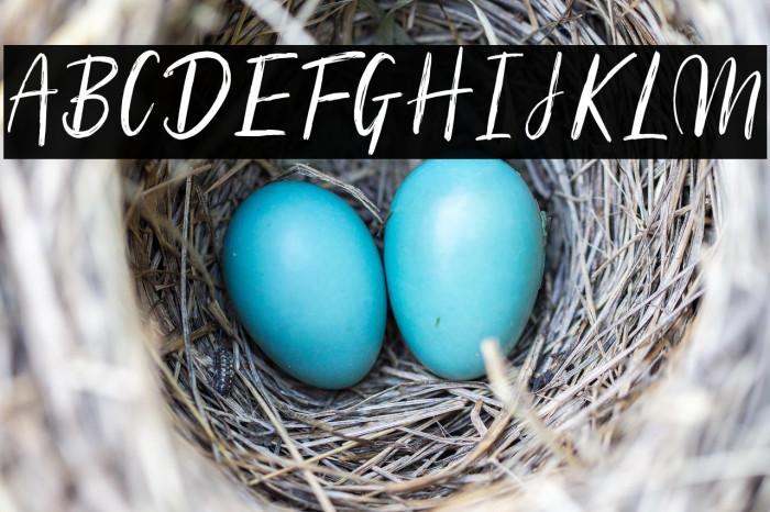 Silhouetto Script Example 3