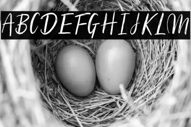 Silhouetto Script Font examples