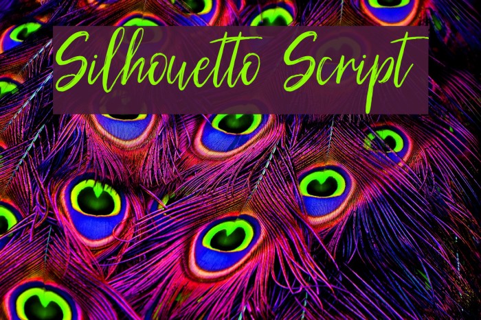 Silhouetto Script Example 2
