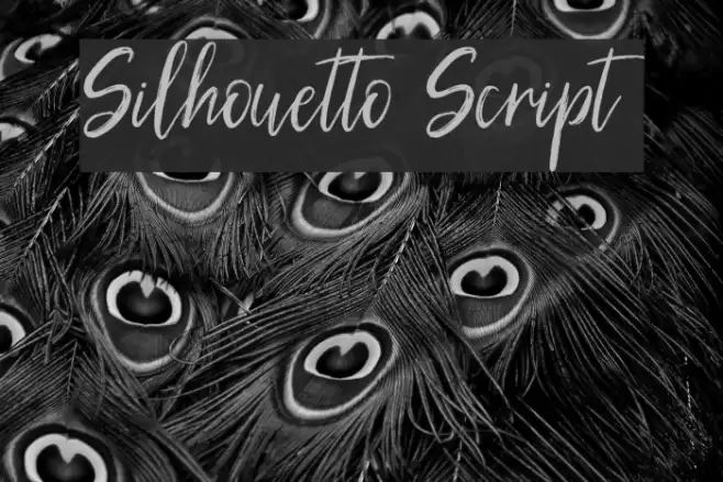 Silhouetto Script Font examples
