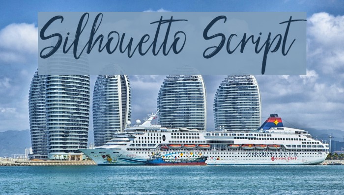 Silhouetto Script Example 3