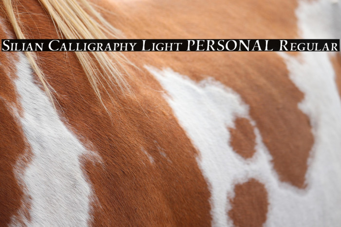 Silian Calligraphy Light PERSONAL Regular Example 2